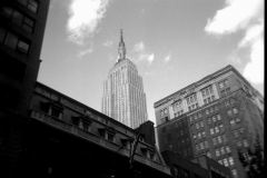 holga-08-copy