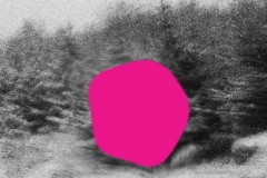 pink-copy