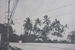east-coast-oahu