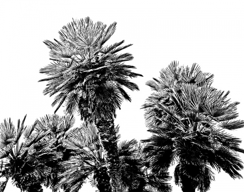 03-copy