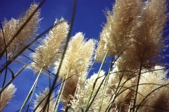 08-copy