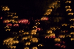 14-copy