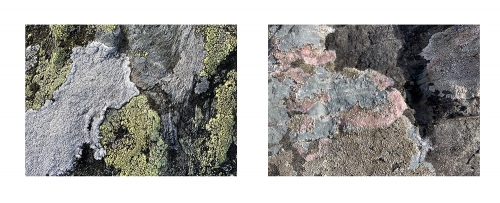 HillCoast7