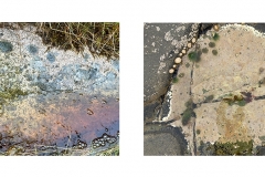 HillCoast2