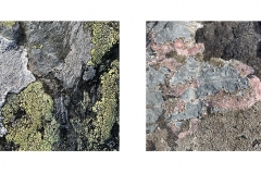 HillCoast7