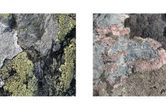 HillCoast1