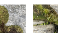 HillCoast2