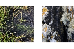 HillCoast4