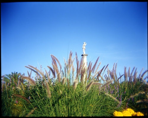 holga-10