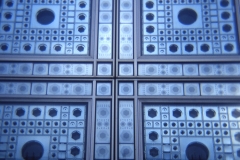 holga-02