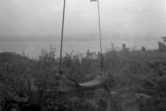 holga-05-copy