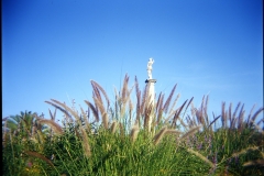 holga-10