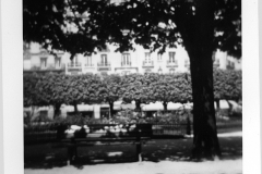 holga-12
