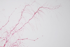 etchings-01