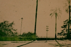 etchings-08