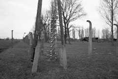 trip13-copy