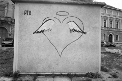 trip21-copy