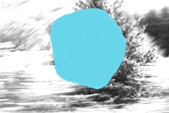 bluesp-copy