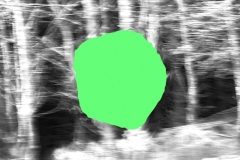 green23