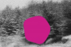 pink-copy-2