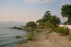 colonia